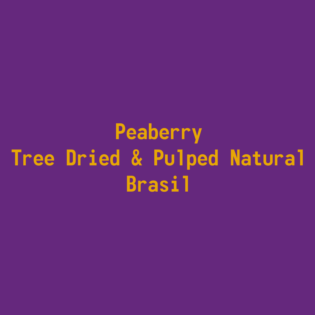 Peaberry